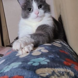 Meet your Posher, Abby